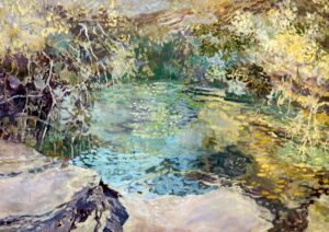 Meg Walters – Mangroves, Collapsed Cave